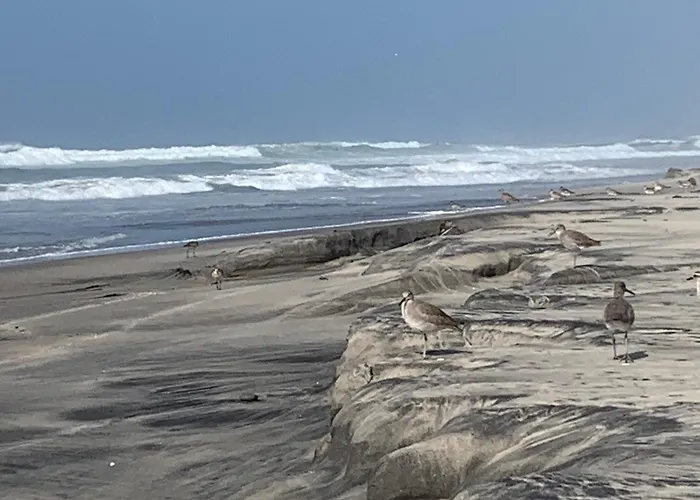 Rosarito Beach House Sleeps 14 & Steps To Sandy Beach Mins To Downtown